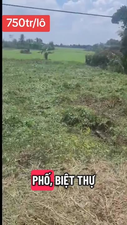 Đất thổ cư 180m² tại Thủ Thừa, Long An chỉ 750 triệu - Cơ hội sở hữu hiếm có!