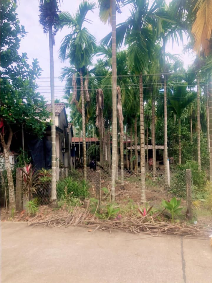 Đất mặt tiền Trung Mỹ 180m² giá siêu rẻ chỉ 3xx triệu - Đầu tư sinh lời ngay!