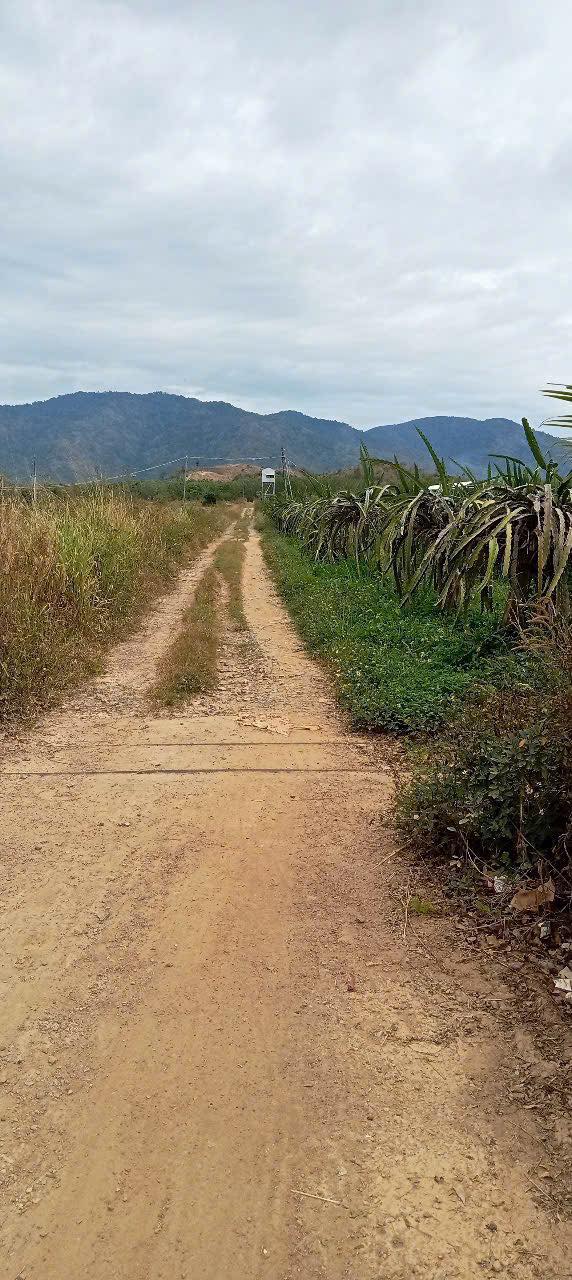 Đất nông nghiệp 15Ha tại Hàm Thạnh, Bình Thuận - Giá chỉ 23 tỷ, thương lượng chính chủ!