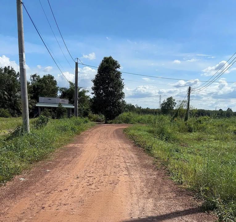 Đất nền Chà Là Dương Minh Châu 145m² giá 200 triệu - Cơ hội đầu tư hấp dẫn!