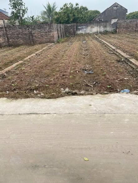 Đất nền Hoàn Long, Khoái Châu 115m² - Giá chỉ từ 2x triệu/m², cơ hội đầu tư hấp dẫn!