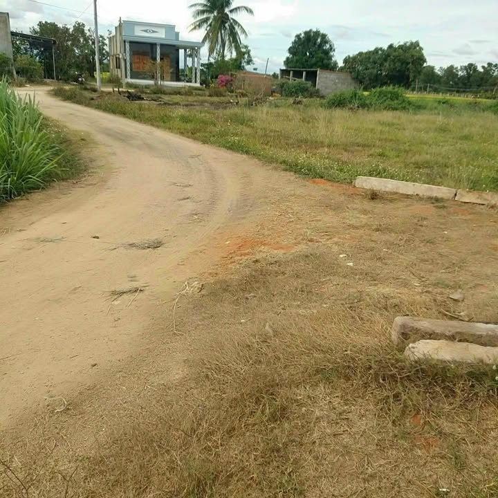 Đất Farm 1935m² tại Hội Nhơn, Hàm Chính chỉ 800 triệu - Giá tốt hiếm có!