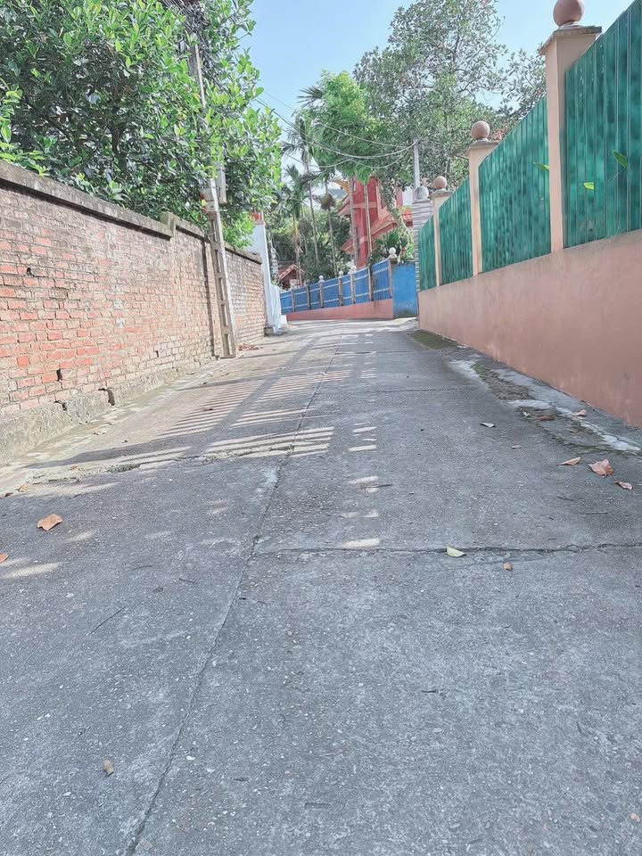 Đất khu 7 Trưng Vương, Việt Trì 83m² giá 2 tỷ - Đầu tư sinh lời lý tưởng!