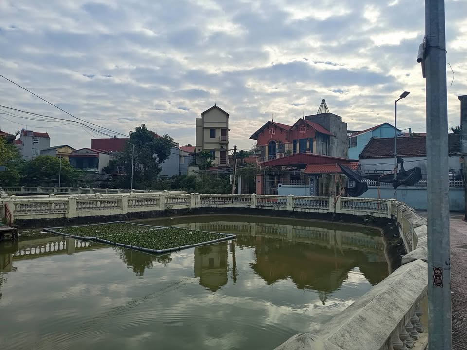 Đất nền Chu Xá, Kiêu Kỵ 266m² giá tốt - Nở hậu, phù hợp xây dựng!