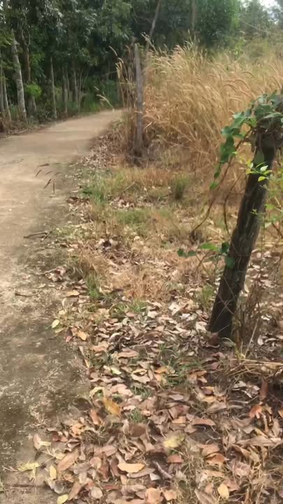 Đất nền Lộc Điền 360m² giá 350 triệu - Đầu tư sinh lời ngay!