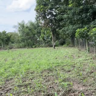 Đất nền Tân Phước, Đồng Phú 1000m² chỉ 351 triệu - Cơ hội vàng cho nhà đầu tư!