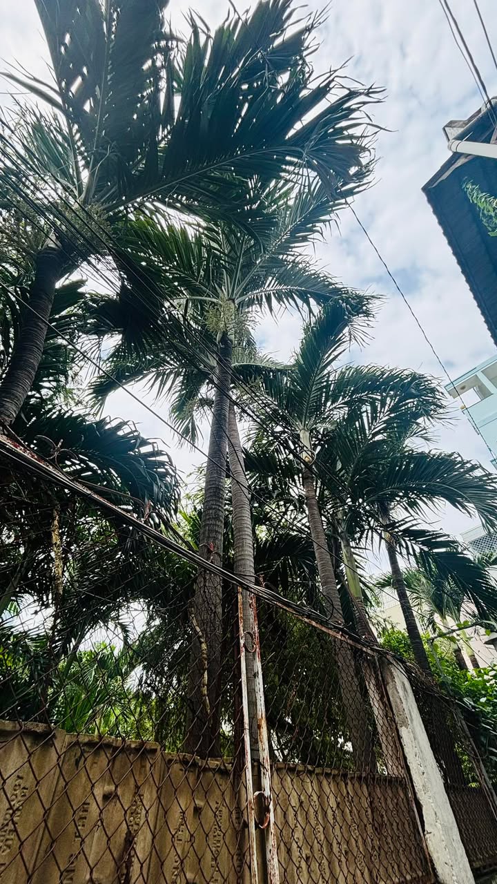 Đất nền Bình Thạnh 58m² giá 6.5 tỷ - Xây dựng tự do!