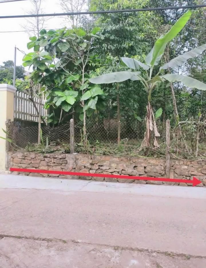 Đất nền mặt tiền đường Quảng Tế, Huế 221m² giá chỉ 2.2 tỷ - Cơ hội đầu tư hấp dẫn!