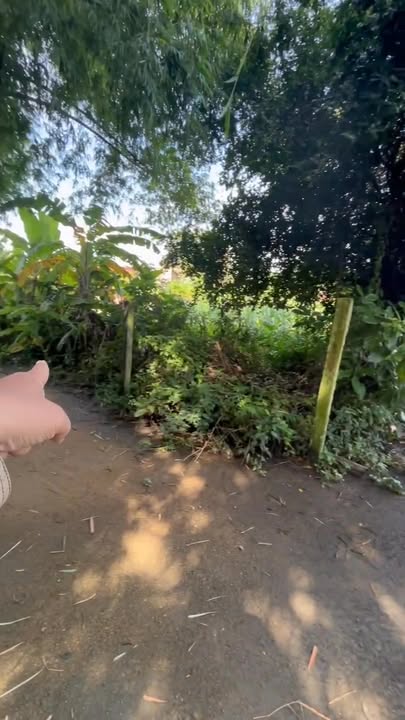 Đất thổ cư 700m² tại Thôn Thái Bình, xã Cát Tài, Phù Cát - Giá chỉ 500 triệu VND!