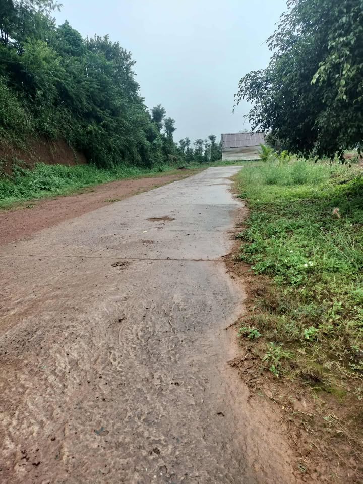 Đất nền Đức Minh 6300m² giá 3.6 tỷ - Tiềm năng đầu tư sinh lời!