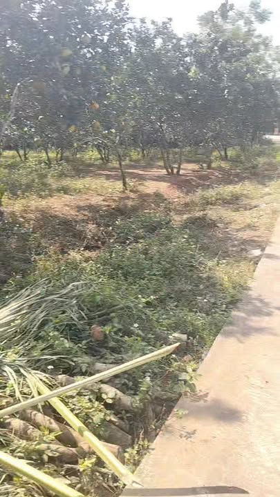 Đất nghỉ dưỡng siêu đẹp tại Đoàn Kết, Yên Thủy 1739m² giá chỉ 1.739 tỷ - Cơ hội đầu tư tuyệt vời!