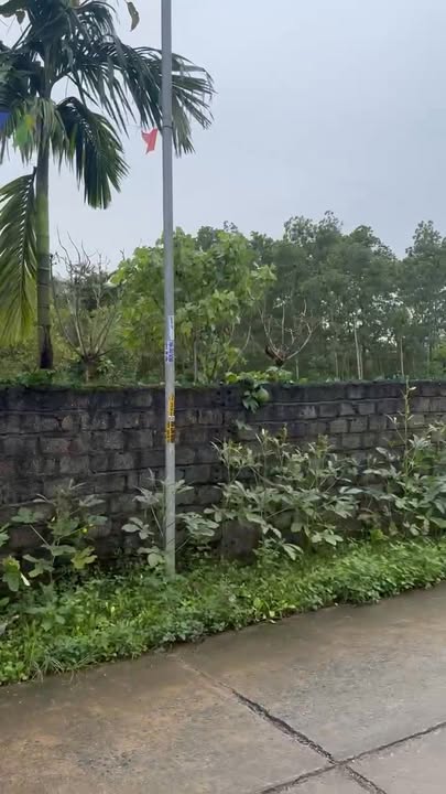 Đất thổ cư 99m² xã Cao Dương, Lương Sơn giá 800 triệu - Sổ hồng chính chủ!