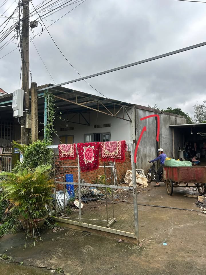 Nhà cấp 4 Hẻm 59 Nguyễn Trãi, An Bình 102m² giá 1.65 tỷ - Vị trí tuyệt đẹp ngay trung tâm!