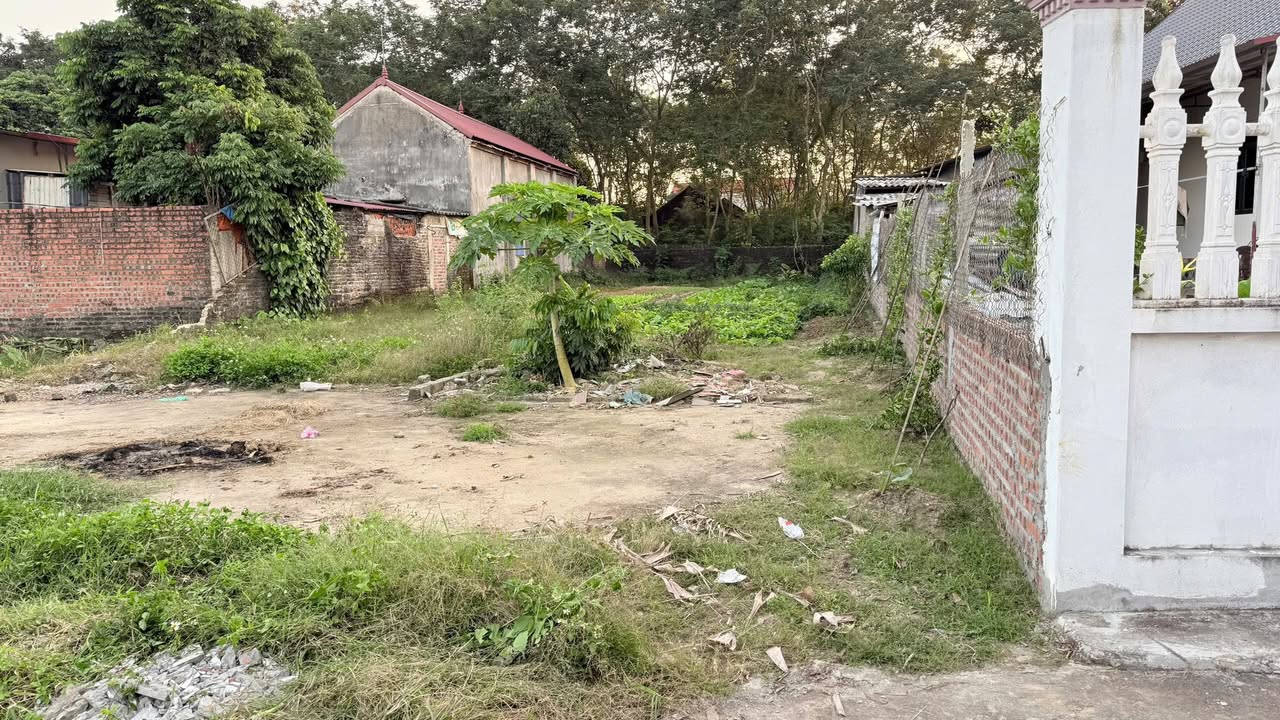 Đất nền Ngọc Tân, Ngọc Sơn 183.5m² giá 700 triệu - Cơ hội đầu tư tuyệt vời!