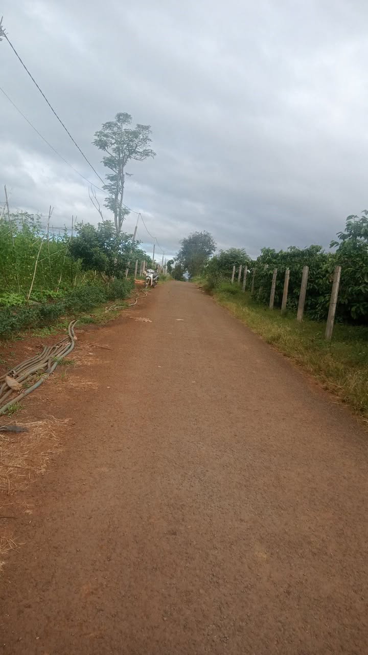 Lô đất chính chủ đường Huỳnh Văn Bánh, An Phú 50m² giá 270 triệu - Cơ hội đầu tư tuyệt vời!