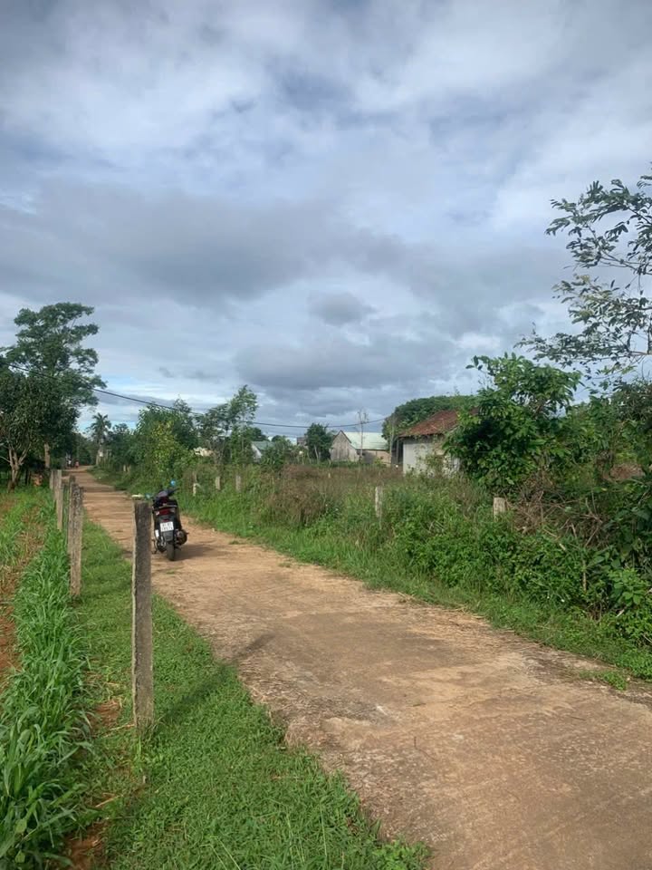 Đất thổ cư 300m² Thôn Thái Hà, Gia Lai - Bán gấp, giá thương lượng!