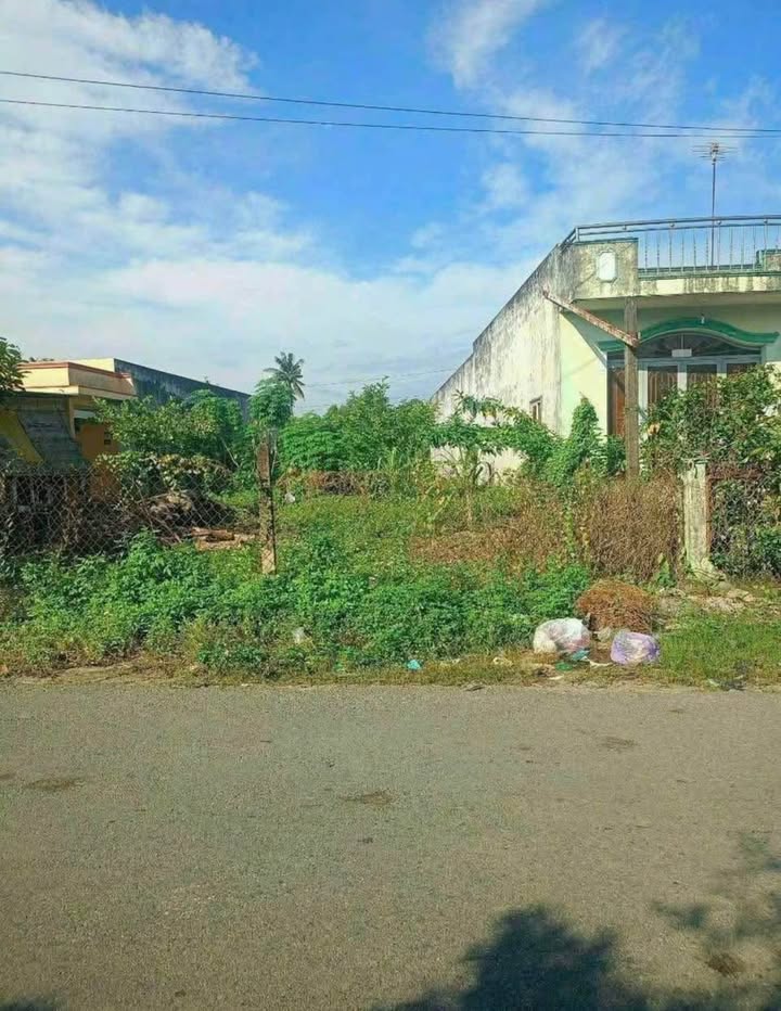 Đất thổ cư mặt tiền đường Huỳnh Châu Sổ, Tân An, 295m² - Giá chỉ 2.9 tỷ!