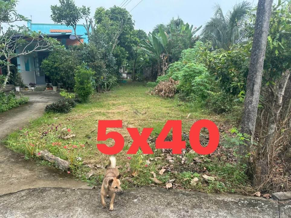 Đất nền Cần Giuộc 200m² giá 750 triệu - Sổ đỏ chính chủ, đầu tư sinh lời!