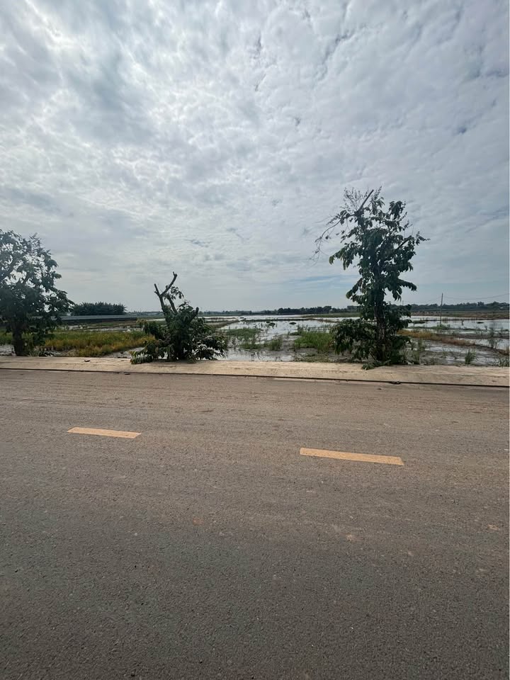 Đất mặt tiền Trương Thị Như, Hóc Môn 4800m² - Cơ hội đầu tư giá trị!