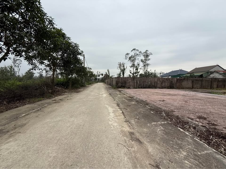 Đất nền Nghi Ân, Vinh 87m² giá 1.9 tỷ - Mặt tiền rộng, vị trí đắc địa!