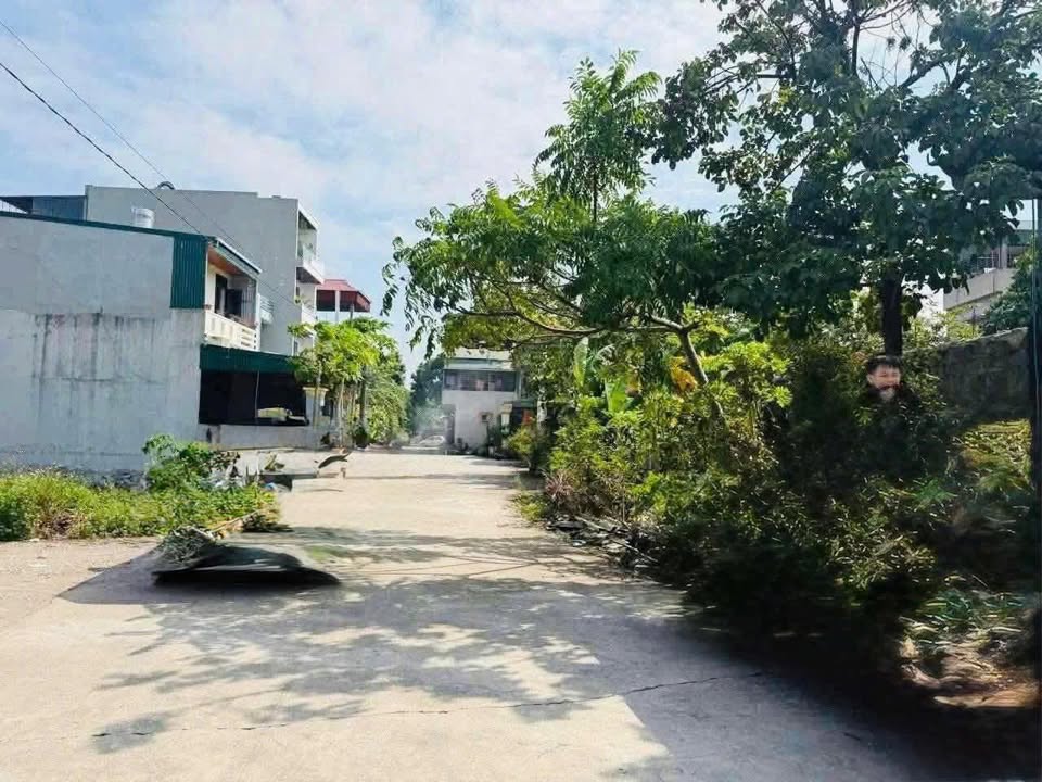 Đất nền Nho Quan 115m² giá chỉ 1 tỷ - Đường thông tứ phía, kinh doanh sầm uất!