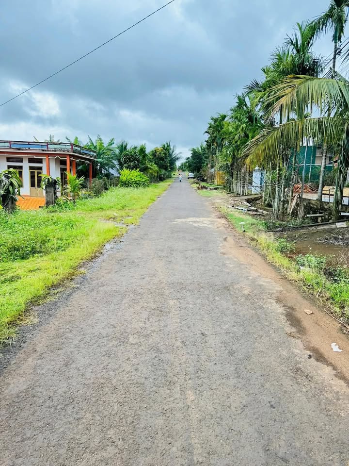 Đất nền xã Krông Năng 480m² giá chỉ 1.38 tỷ - Sổ đỏ chính chủ, thổ cư 100%!