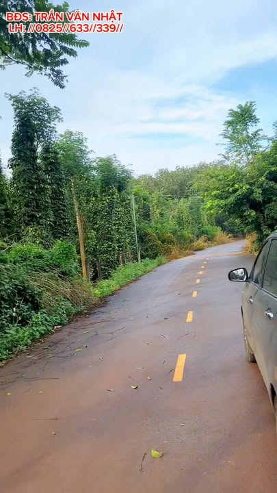 Đất Bàu Lâm Xuyên Mộc 6000m² giá 4,8 tỷ - Cơ hội đầu tư sinh lời!