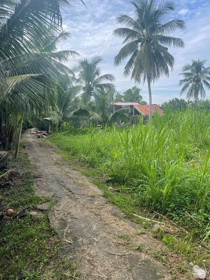 Đất nền Mỹ Lương, Mỹ Phong 150m² giá đầu tư chỉ từ 100 triệu - Cơ hội không thể bỏ qua!