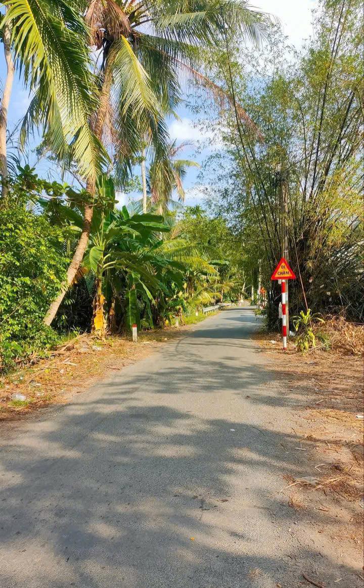 Đất nền An Hiệp Châu Thành 194m² giá 520 triệu - Mặt tiền đường nhựa, đối diện KCN An Nghiệp!