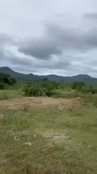 Đất nông nghiệp 1.12ha tại Bình An, Bắc Bình - Giá chỉ 11.2 tỷ VND