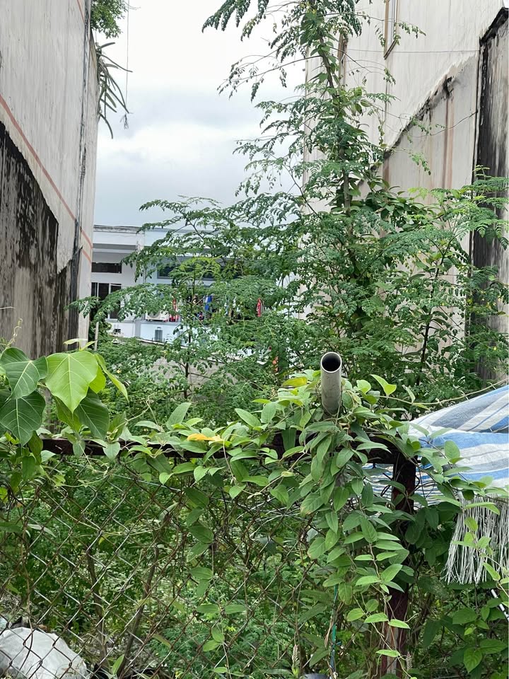 Đất mặt tiền Nguyễn Trãi, Cà Mau 155.75m² giá 3.2 tỷ - Đầu tư sinh lời ngay!