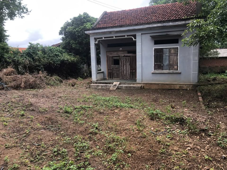 Đất ở Tây Bình, Tây Sơn 636m² - Giá chỉ từ 4xx triệu, tặng nhà cấp 4!