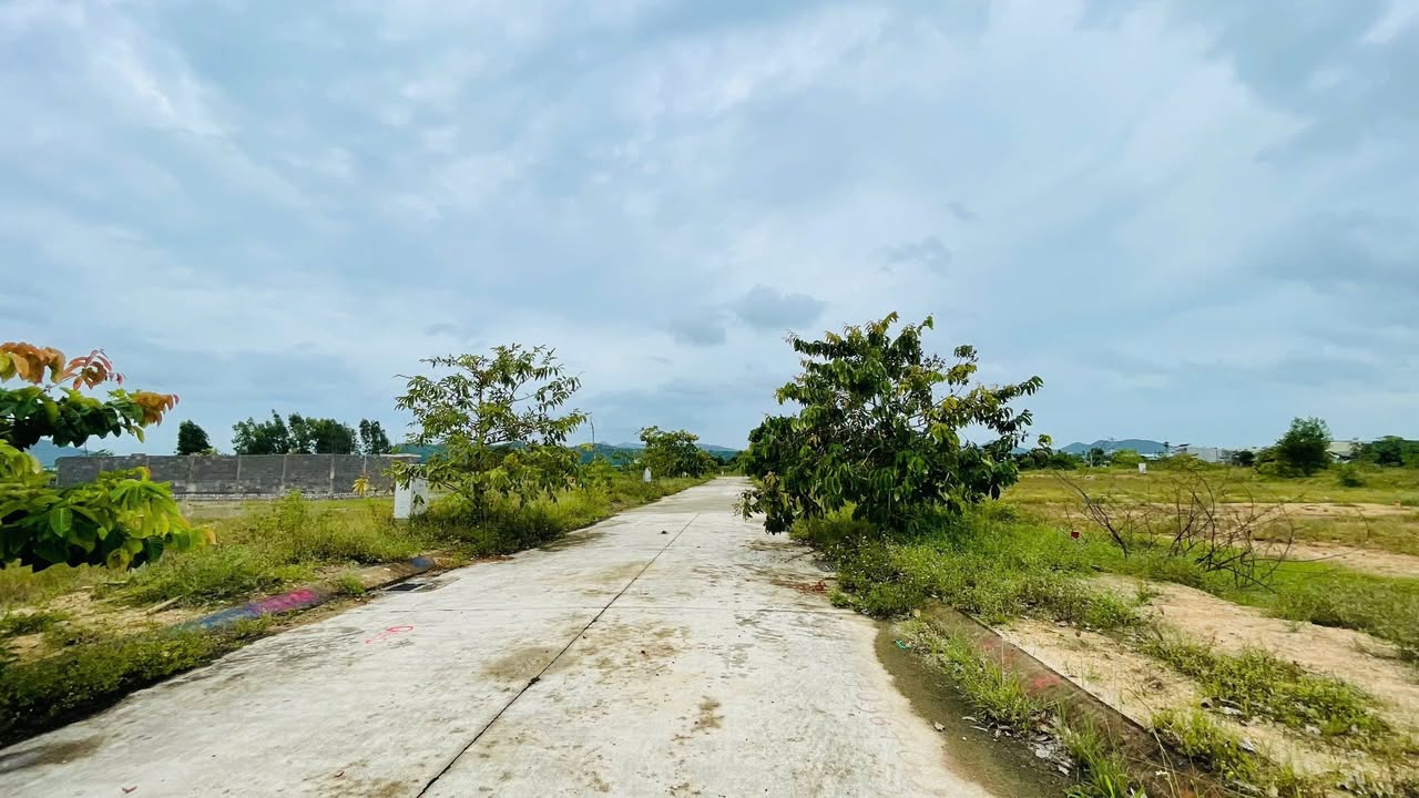 Đất nền liền kề tại thị trấn Tuy Phước 100m² giá 1.35 tỷ - Cơ hội đầu tư hấp dẫn!