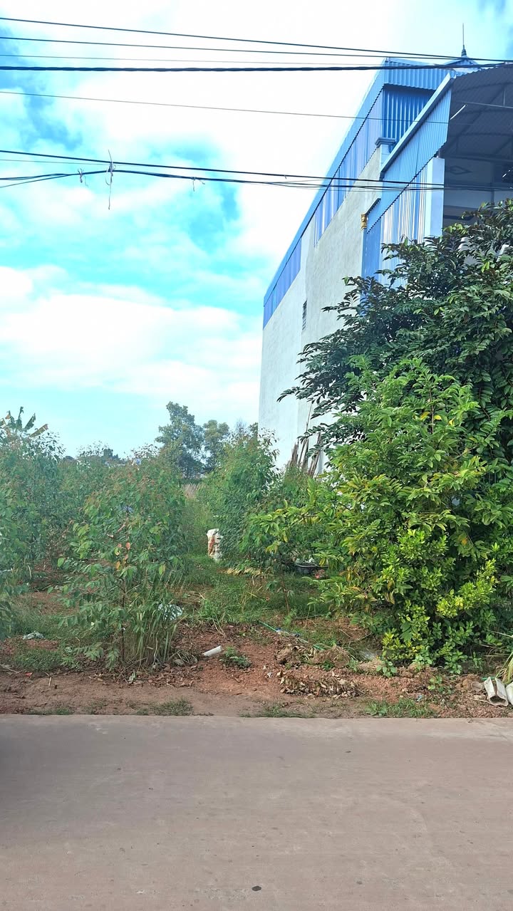 Đất nền Hương Lạc Lạng Giang 100m² - Kinh doanh sầm uất ngay trục đường chính!