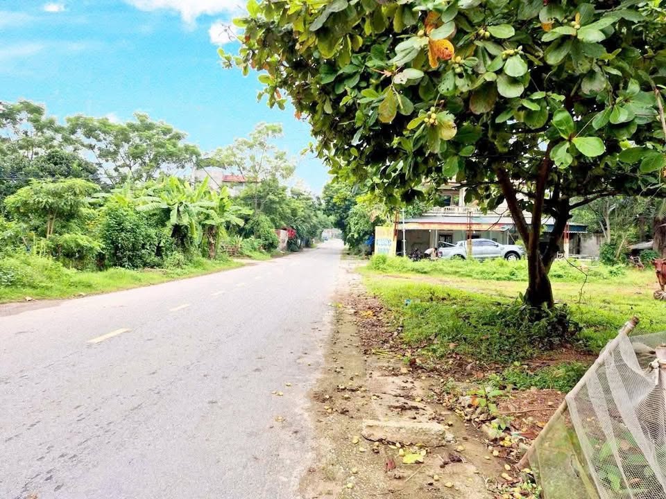 Đất nền Trục đường 306, Yên Thạch 100m² giá 2 tỷ - Đầu tư sinh lời ngay!