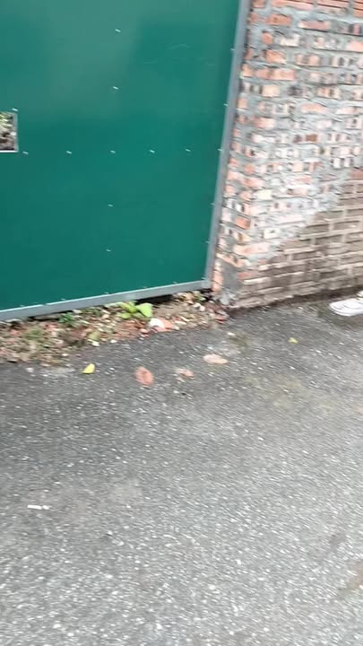 Đất Đặng Xá - Đường Ỷ Lan 100m² - Kinh doanh ô tô tránh, giá thỏa thuận!