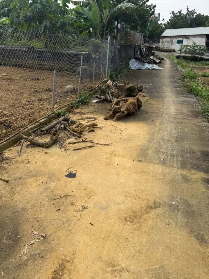 Lô đất 663m² Thôn Bạch Thạch, Hòa Thạch - Giá chỉ 6.63 tỷ - Đầu tư sinh lời ngay!