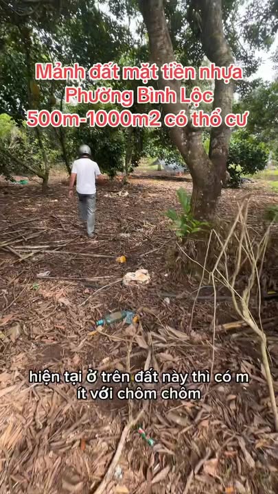 Đất thổ cư 750m² tại Bình Lộc, Long Khánh giá 1.45 tỷ - Đường nhựa rộng, an ninh tốt!