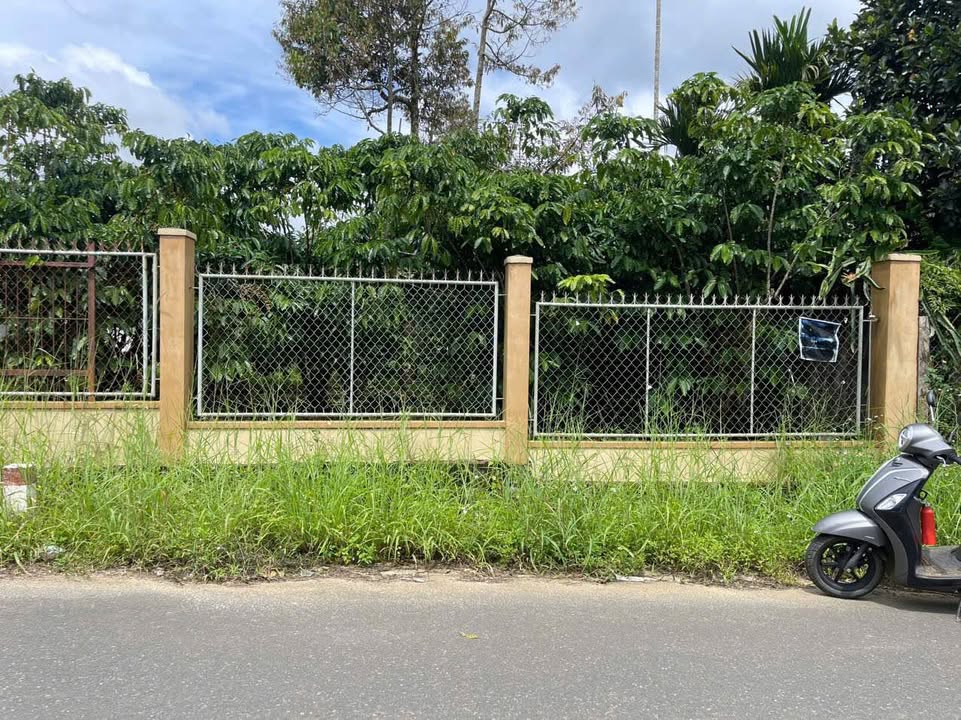 Đất mặt tiền Lê Thị Riêng, TP. Bảo Lộc 624m² giá chỉ 4.5 tỷ - Đầu tư sinh lời!