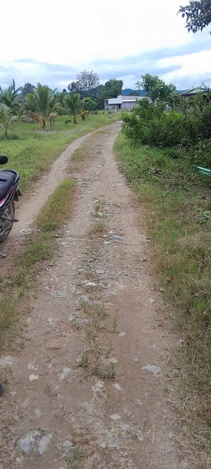 Đất thổ cư 100m² tại Mỹ Đức, Đạ Tẻh - Giá chỉ 400 triệu, cơ hội đầu tư tuyệt vời!