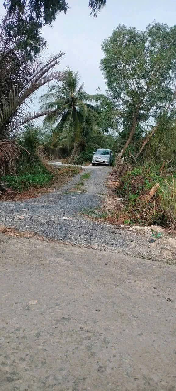 Đất vườn xã Lương Hòa - Bến Lức 1.000m² chỉ 650 triệu - Đường ô tô vào tận nơi!