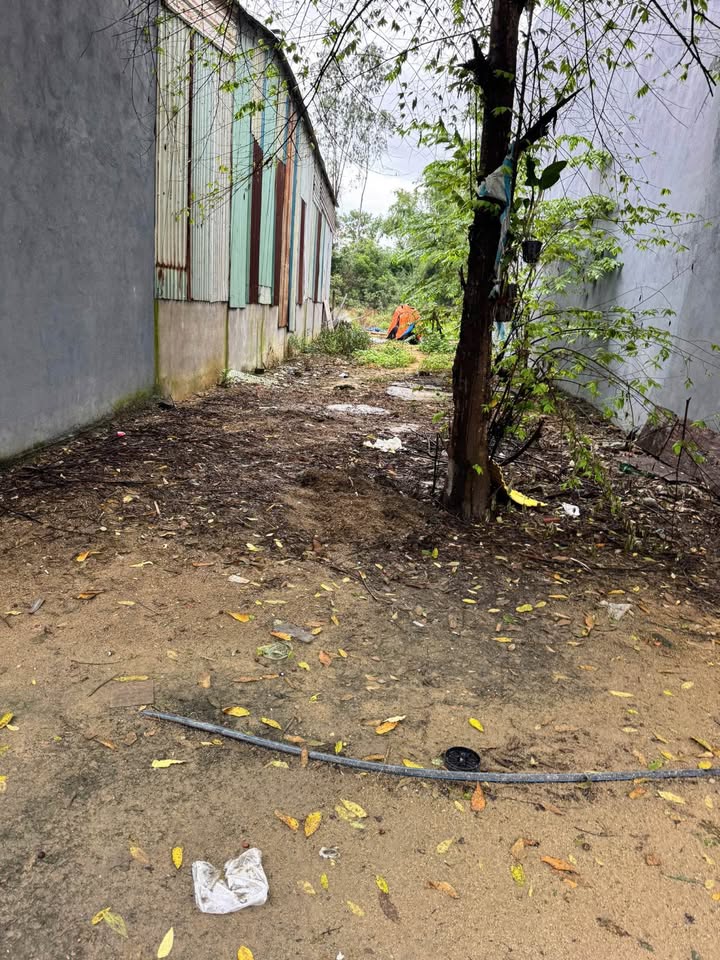 Đất nền Đà Nẵng 120m² giá 2.4 tỷ - Đường thông thoáng, thuận lợi kinh doanh!