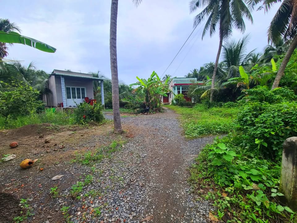 Đất nền ấp Hòa Mỹ, xã Bình Ninh, Tiền Giang 563m² giá 370 triệu - Sổ đỏ chính chủ!