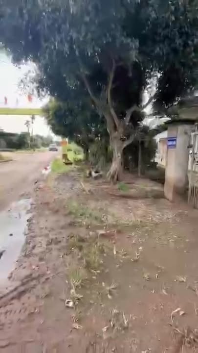 Đất nền phường Đoàn Kết Buôn Hồ 1500m² giá 900 triệu - Đầu tư sinh lời ngay!