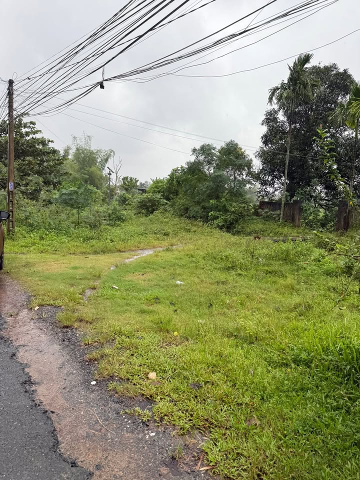 Đất Farm diện tích lớn Điện Tiến 4586m² - Cơ hội đầu tư sinh lời!