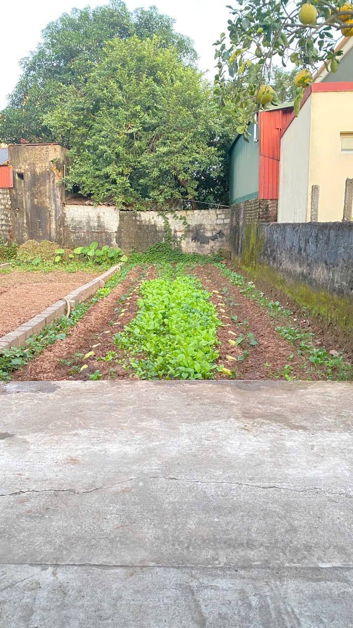 Đất nền xã Tự Nhiên, Thường Tín 54.4m² - Đầu tư sinh lời lý tưởng!