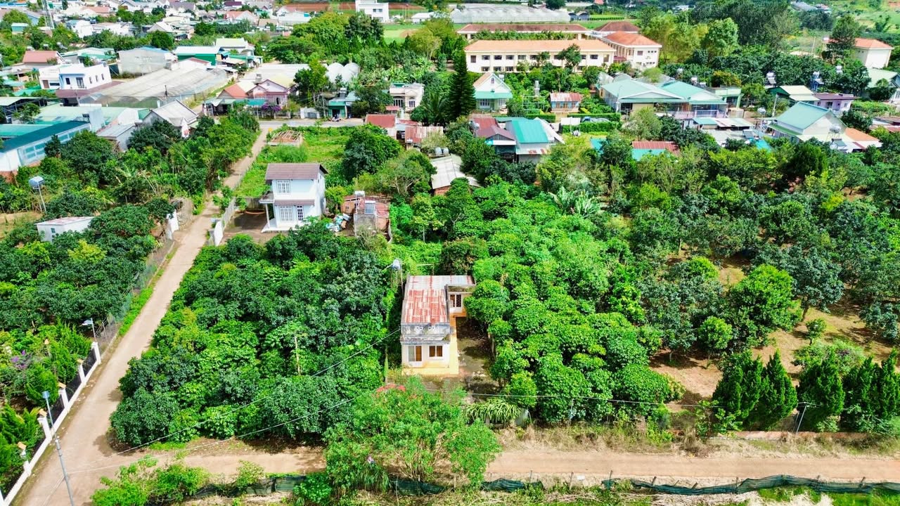 Đất nền 480m² tại Tà Nung, Đà Lạt - Giá chỉ 4.5 tỷ, đầu tư sinh lời!