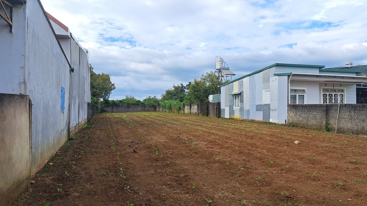 Đất nền đường Trinh Hoài Đức, Bảo Lộc 910m² giá 3 tỷ - Cơ hội đầu tư hấp dẫn!