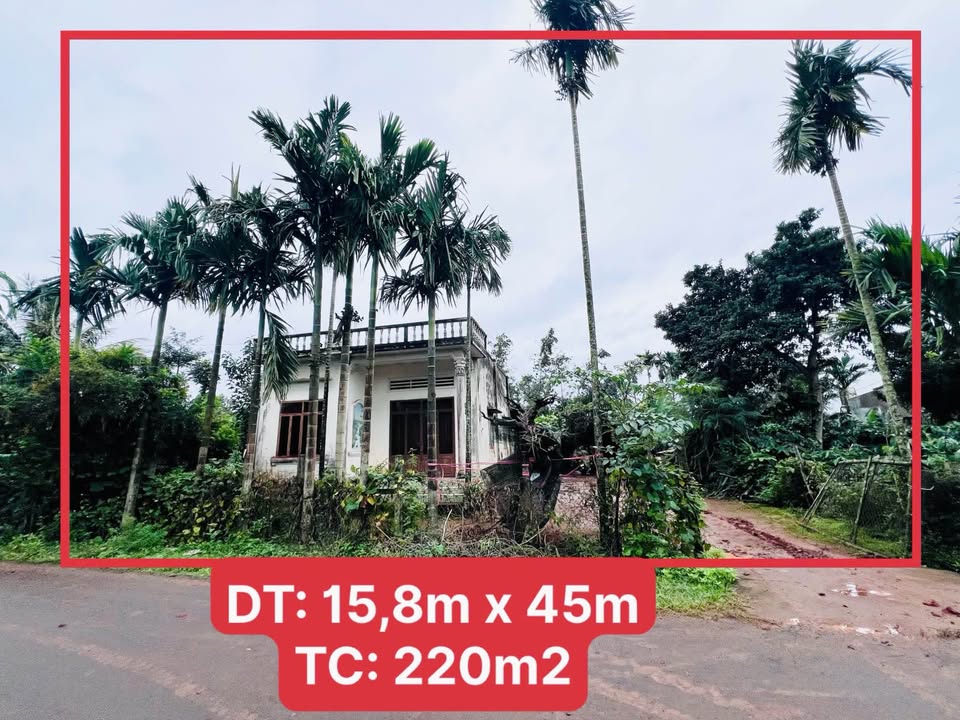 Lô đất làm nhà vườn tại đường N2, phường Tân An, Buôn Ma Thuột - Đầu tư sinh lời ngay!