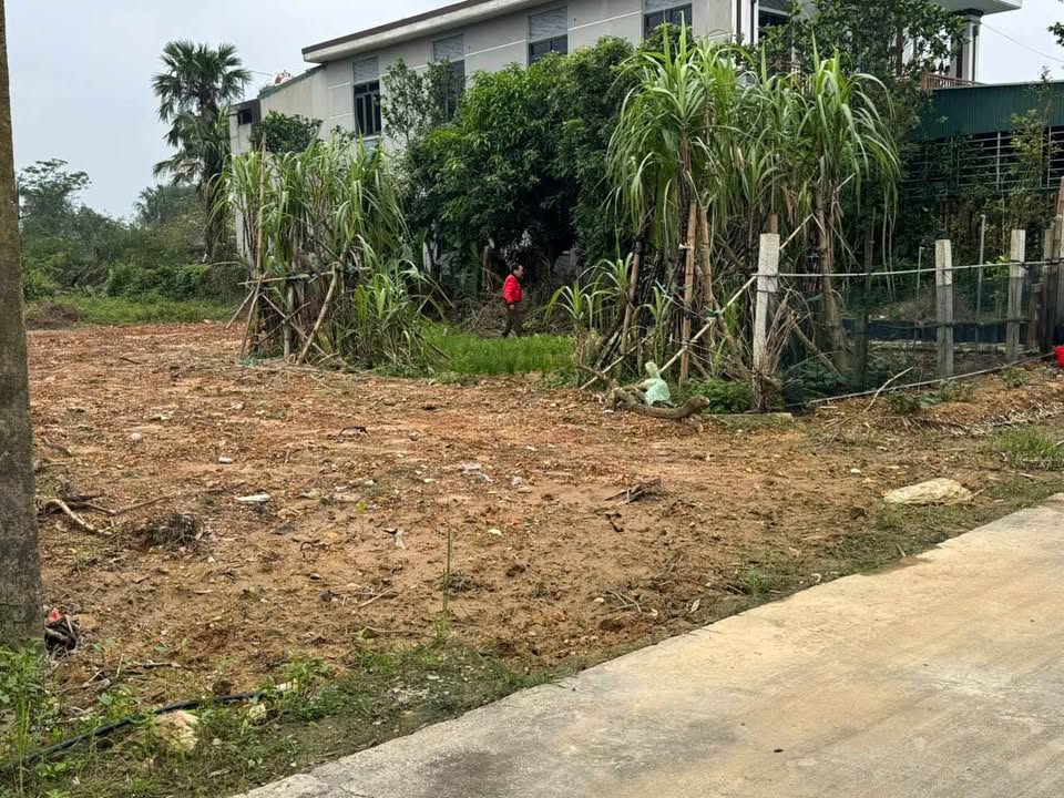 Đất nền Hà Huy Tập 129m² giá 900 triệu - Đường ô tô tránh nhau!